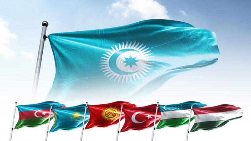 Organization of Turkic States